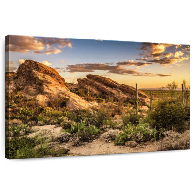 Alvord Javelina Rock Desert Scene