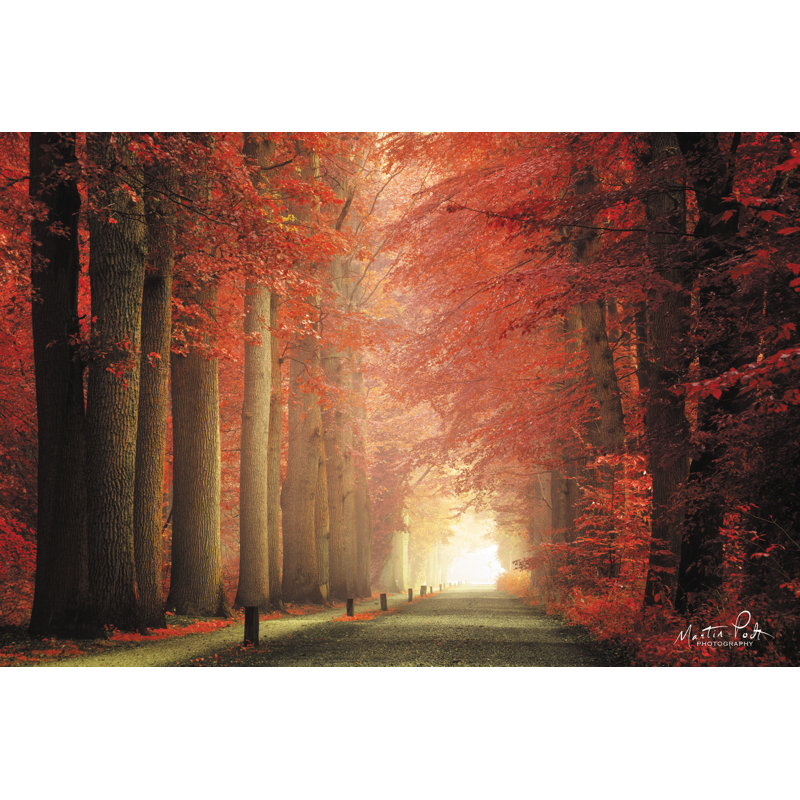 «Way to Red» par Martin Podt - reproduction imprimée, H 32 po x l 48 po, Papier avec cadre simple noir avec passe-partout