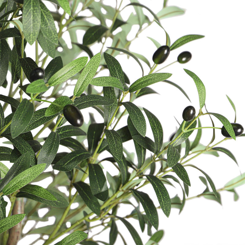 180cm Plant