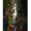 Pewitt's Nest Print by Scott Norris-65825660-65850548