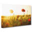 Field Of Poppies Vol.5 - Wrapped Canvas Print-61877119