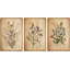 Bouquet de fleurs vibrantes et rétro 3 pièces-91875216-91875217