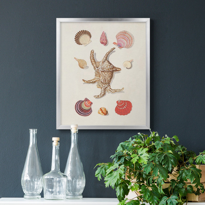 Toile de qualité supérieure Knorr Shells & Coral II - prête à être accrochée, H 24 po x l 20 po, Argent