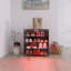 Armoire à chaussures noire 4 niveaux avec porte en verre et vitrine à chaussures en verre