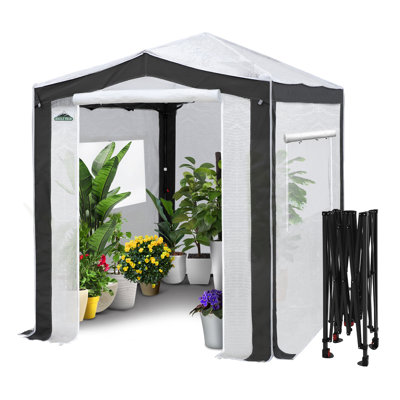 6' W x 8' D Hobby Greenhouse