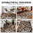 Contemporary Floral Area Rug-1095754333