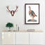 A Partridge by Johan Teyler - Single Picture Frame Painting-55450960-55450956