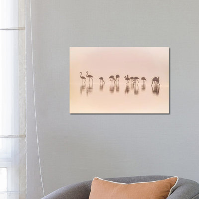 Flamingos In The Mist by Jeffrey C. Sink - Wrapped Canvas Print