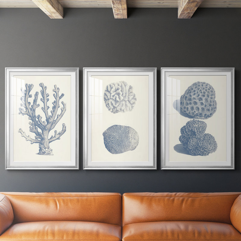 Antique Coral Collection VI - reproduction encadrée sur mesure de qualité supérieure mate - 3 pièces, Argent argent