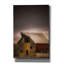 «Amhold Rustic On Canvas» par Don Schwartz, reproduction-88591256