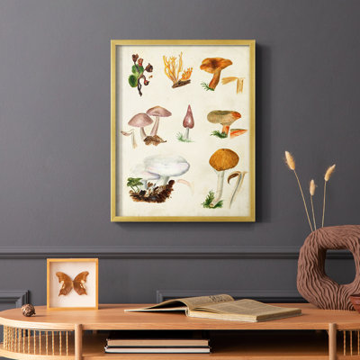 «Mushroom Species VI», reproduction encadrée - bois massif
