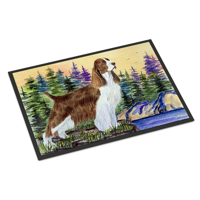 Tappen Non-Slip Indoor Doormat, Rectangle 2' x 3'