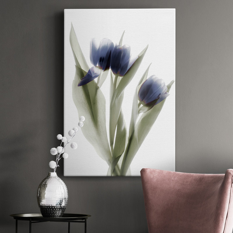 Xray tulipe, impression sur toile tendue, H 18 po x l 12 po x P 1 po