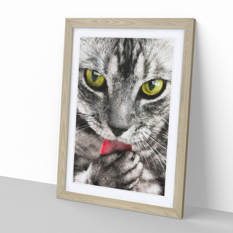 Portrait of a Cat Vol.9 - Framed Print, 36cm H x 27cm W x 2cm D, Oak Framed
