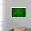 Ladybug And Chameleon - Print on Canvas-42160295-89233871