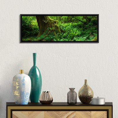 «Hoh Rainforest, Olympic National Forest, Washington», reproduction de photo sur toile