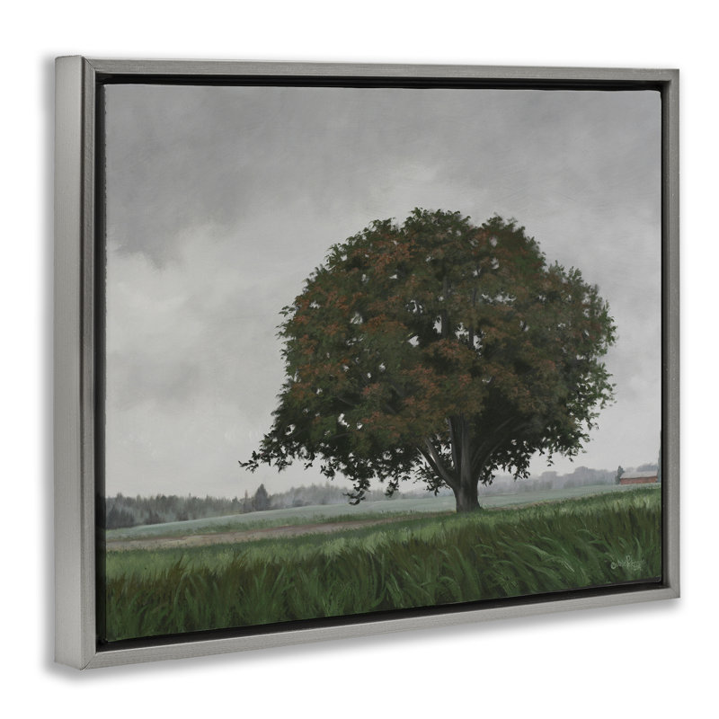 Cadre flottant Atmospheric Lone Tree, design par Julie Peterson, Cadre flottant gris lustré, H 25 po x l 31 po