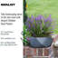 Reinforced Stone Bowl Planter, Faceted Shallow Planter, Bonsai Pot-1661337766-1661337767