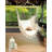 Stylish Indoor Chair Hammock