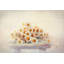 «White Daisies» par Sylvia Cook - impression sur toile tendue-16728406