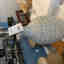 Customer photo 4 of 5