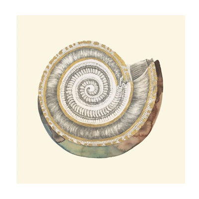 Earthen Conch VII Print by Sara Brown