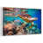 Floating Frame White