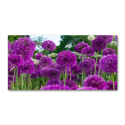 Garlic Flowers - Wrapped Canvas Print