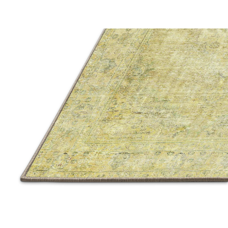 Oriental Indoor Rug, Rectangle 6' x 9'