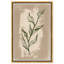 Feuilles illustrées II - peinture sur toile-61810441-72506327