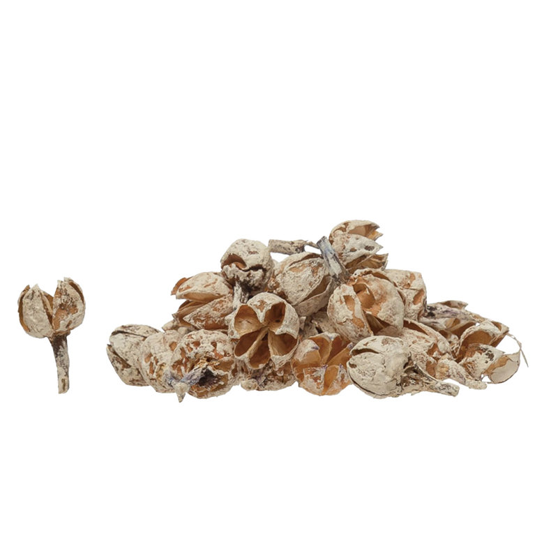 Dried Pods