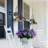 Miley Plug-in Wall Light-1299506088