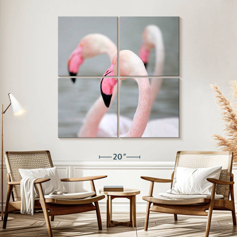 Flamants roses Brampt
