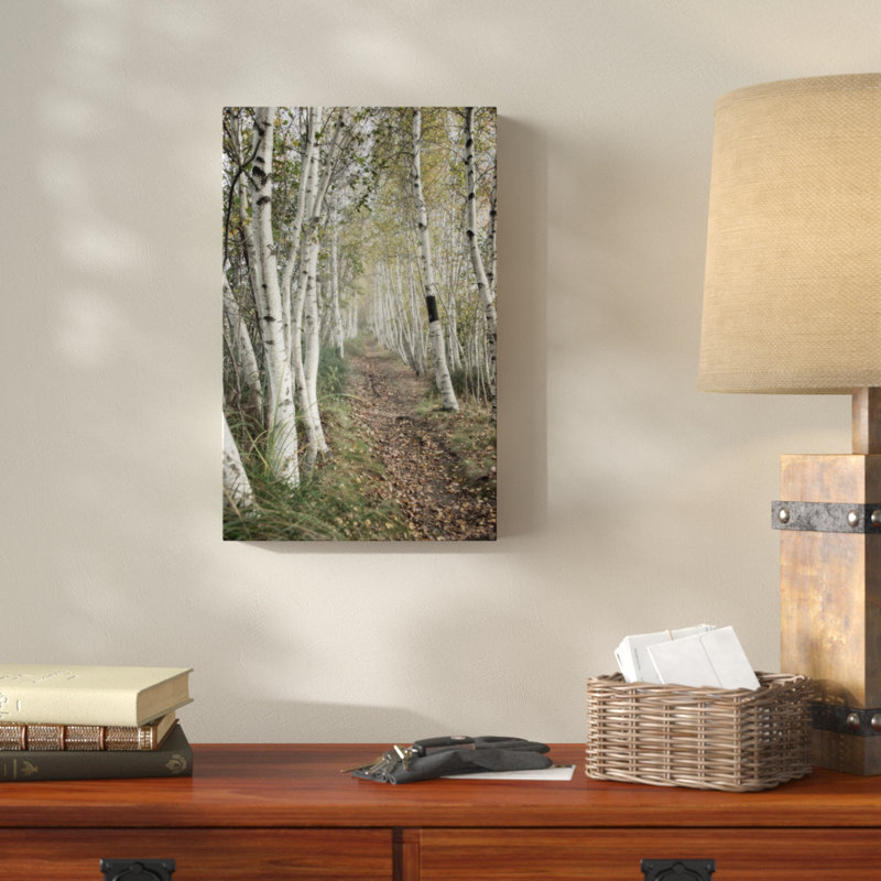 « bouleau trail », reproduction de photo sur toile tendue, H 19 po x l 12 po x P 2 po