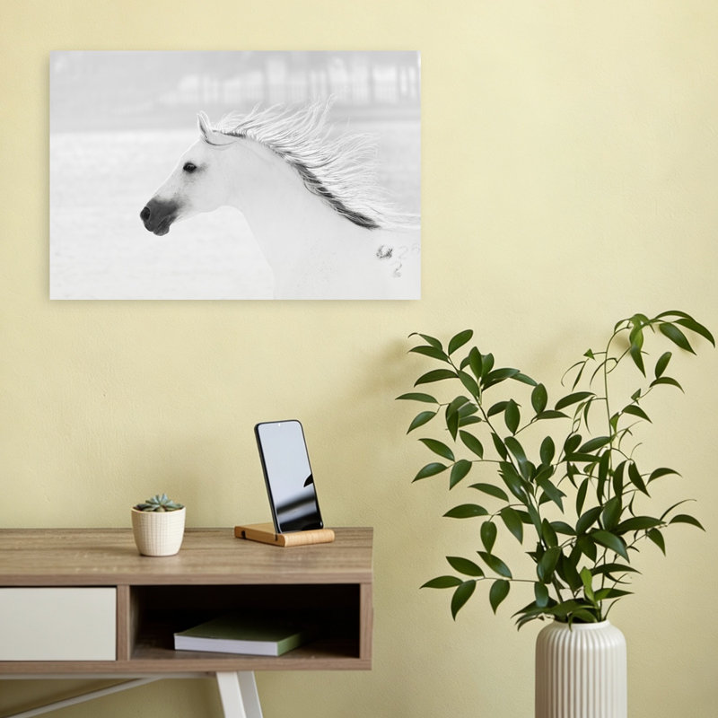 Print, 30.48cm H x 45.72cm W