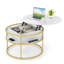 Coffee Table with Storage