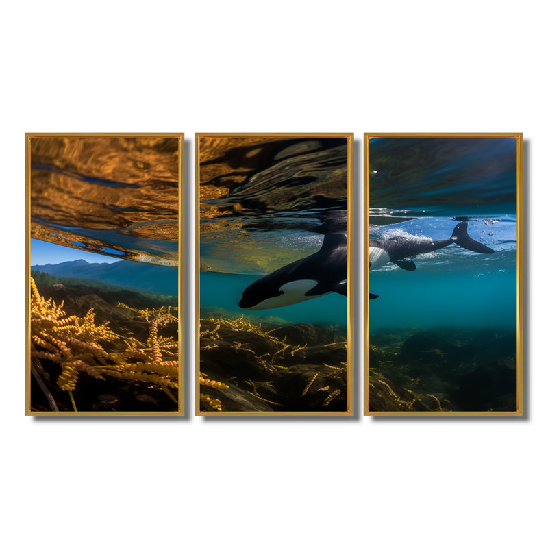 Orque nageant dans un lagon bleu - ensemble d'art mural animaux côtiers, Cadre flottant doré, H 28 po x l 36 po x P 1 po