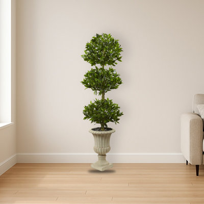 Triple Bay Leaf Topiary in Urn