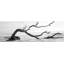 Arbre mort au milieu de l'eau, reproduction sur toile