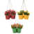 Green/Yellow/Red