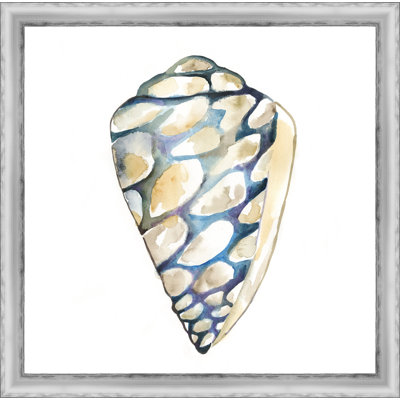 « aquarelle shells iii », reproduction d’art encadrée