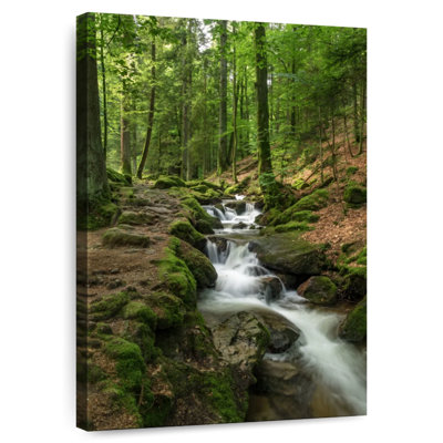 Alvord Buhl Forest Stream