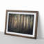 Pine Tree Forest in Spring - Picture Frame Graphic Art Print on MDF-55732051-55732052