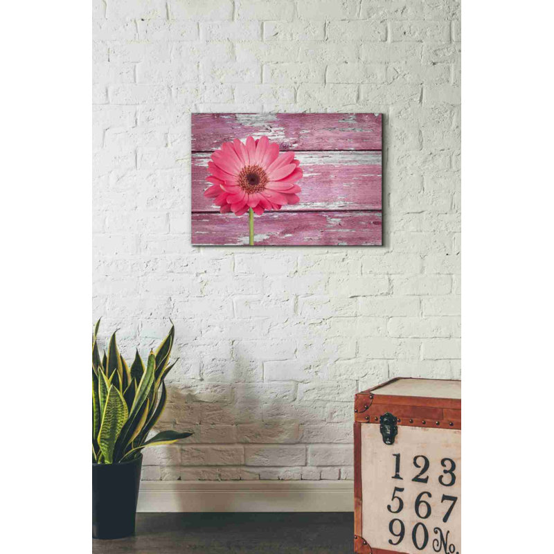 «Beginnings», impression sur toile tendue, H 18 po x l 26 po x P 0,75 po