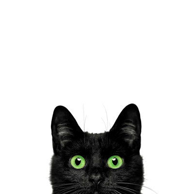 Chat effrayant aux yeux verts