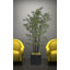 Bambou artificiel en pot 72 po Panama-1947636878-1947636877