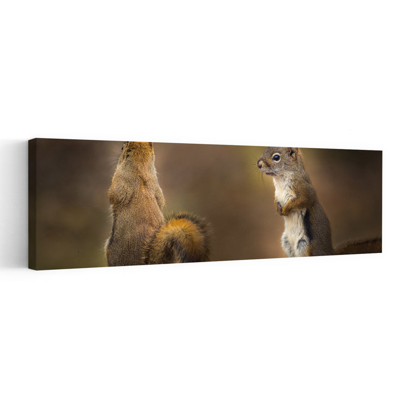 Two Curious Squirrels by Juan I. Cuadrado - Wrapped Canvas Panoramic Print, 30.48 cm H x 91.44 cm W