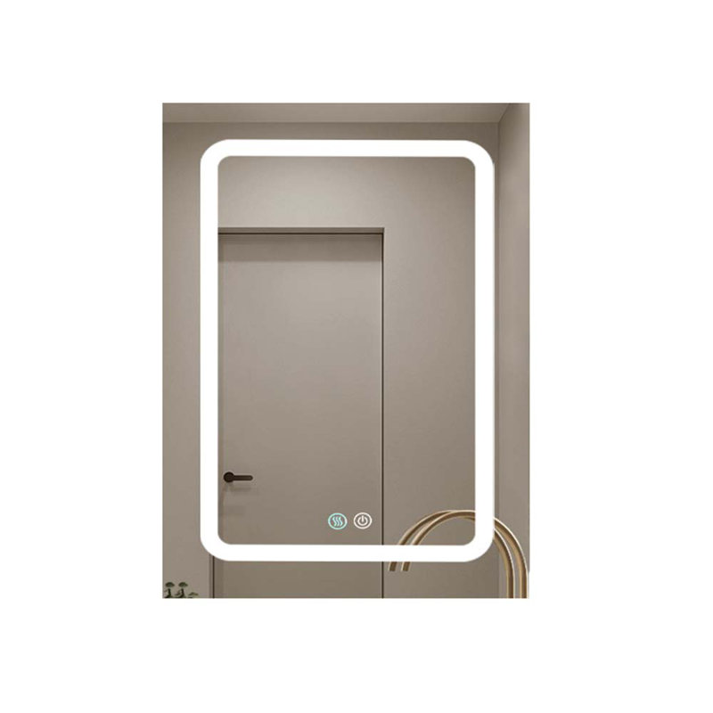 Miroir pour armoire à pharmacie Dayesha, 30 po x 20 po