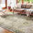 Appolonie Oriental Indoor Rug-1441120163