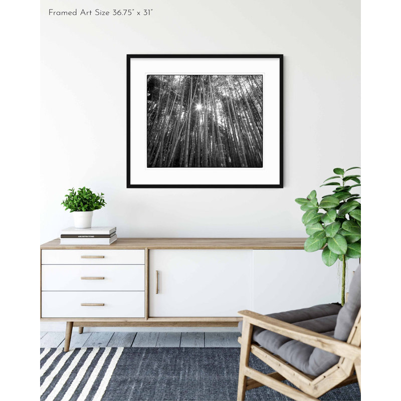 Bamboo Forest - Picture Frame Photograph on Paper , 36" H x 43" W, Black Framed